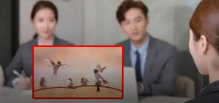 สัมภาษณ์งานถาม "บนต้นไม้มีนก 8 ตัว ถูกยิง 3 ตัว เหลือกี่ตัว?" ใครที่ตอบ 8 และ 5 ตกรอบทันที ทั้งห้อ