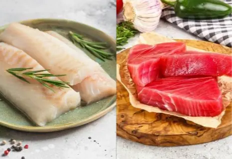 ปลาเนื้อขาว vs ปลาเนื้อแดง แบบไหนเหมาะกับใคร ประโยชน์ไม่เหมือนกัน