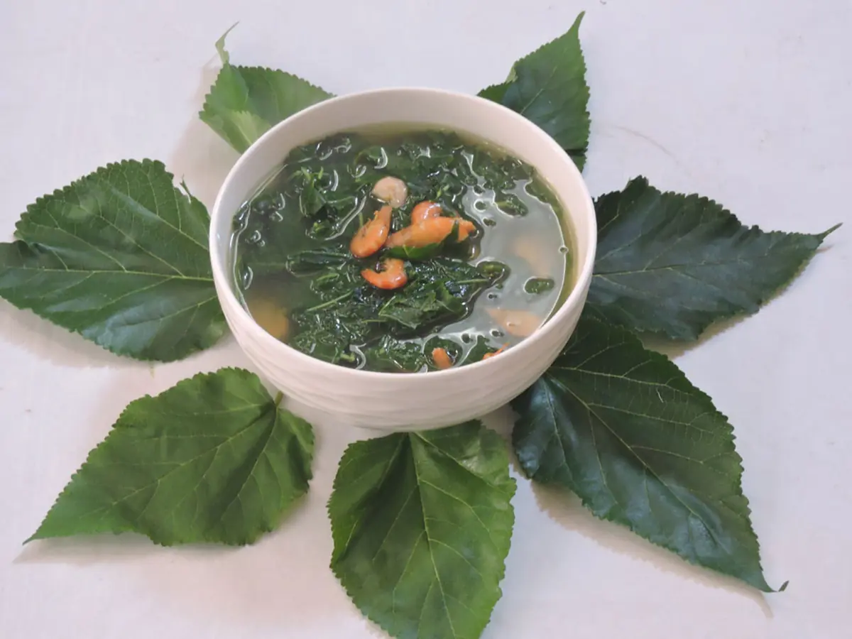 ใบไม้ชนิดนี้อุดมไปด้วยวิตามินซีซึ่งเป็นอาวุธป้องกันตัวอันทรงพลังที่ช่วยเพิ่มความต้านท