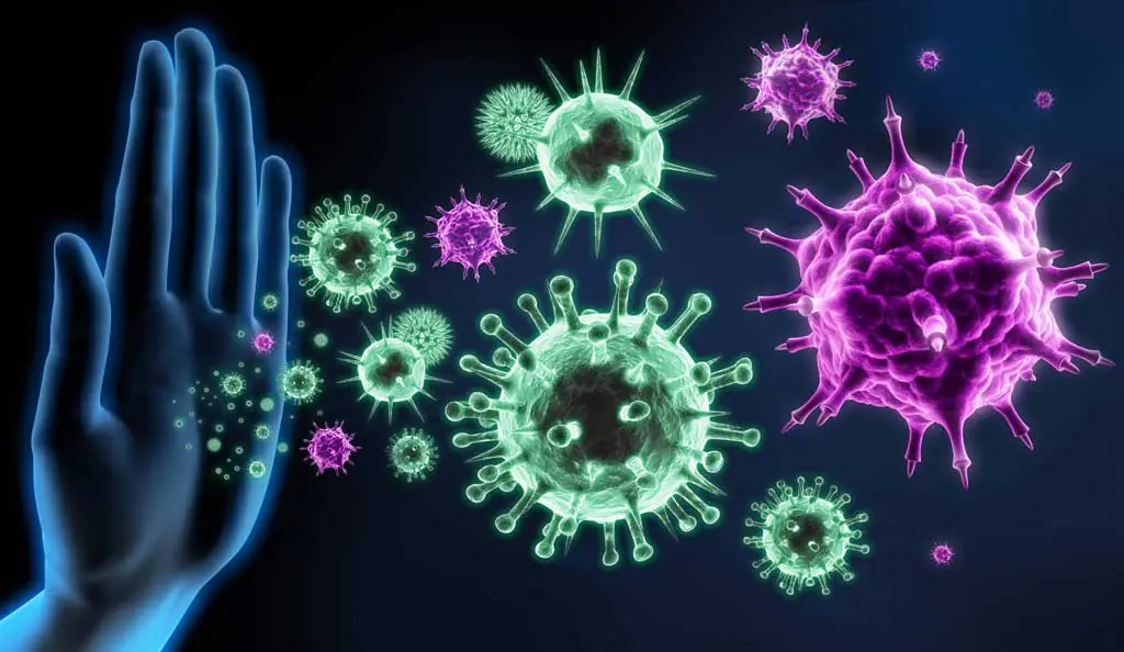 เซลล์ม.ะเ.ร็.ง “กลัวที่สุด” เมื่อคุณเริ่มกินอาหาร 7 ชนิดนี้ หากกินเป็นประจำ มันจะไม่กล้าเข้