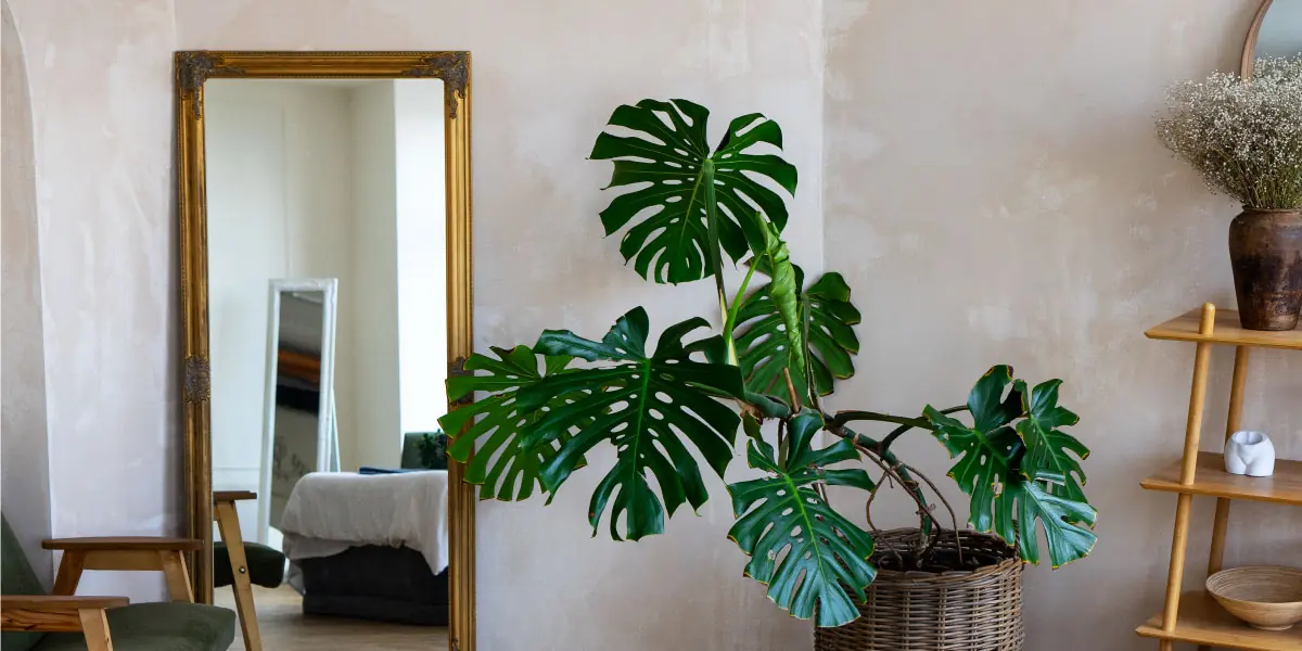 ส่อง 6 ตำแหน่งกระจกแก้ฮวงจุ้ย วางตรงไหนดี ตรงไหนห้าม