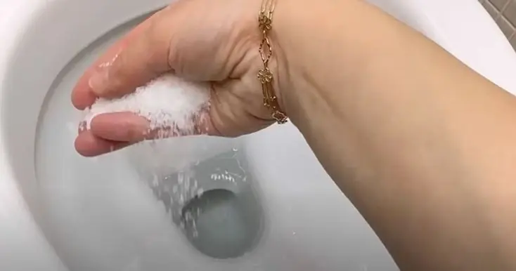 เทเกลือลงชักโครกก่อนนอน พอตื่นเช้ามาคุณจะต้องตกใจเลย!