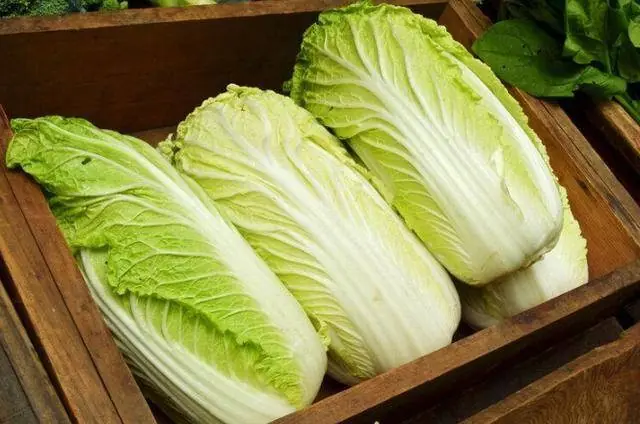 ผักฤดูหนาว 5 ชนิดที่ควรพิจารณาให้ดี ก่อนตัดสินใจซื้อ เพื่อคุณภาพที่ดีและปกป้องสุขภาพของค