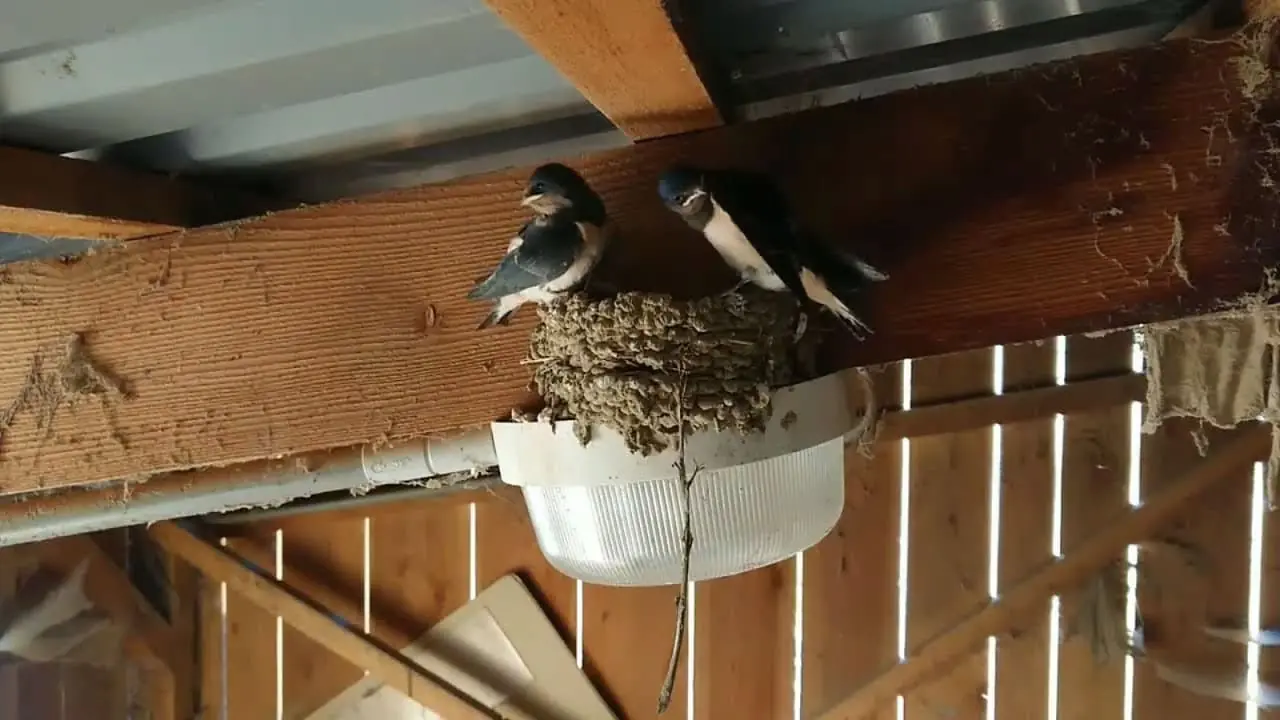 ถ้าบ้านมี 7 สัญญาณนี้ บอกเลยว่าไม่มีใครยอมปล่อยออกจากมือ เพราะเป็นบ้านพลังดี อยู่แล้วรุ่ง