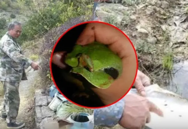 ได้ยินเสียงแปลกๆ ในถังน้ำ ตะ.ลึงพบสัต.ว์ที่ “คิดว่าสู.ญพั.นธุ์” ไปกว่า 30 ปี ออกมาเผ.ยโ.ฉม!