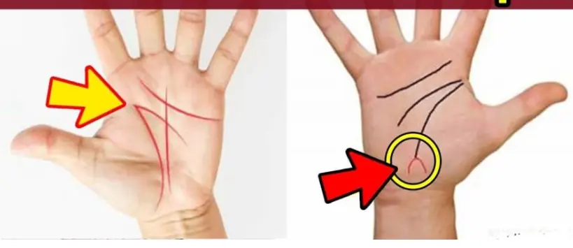 มองลายมือแค่ 3 วินาที ก็รู้ได้ว่าคุณจะร่ำรวยมั่งคั่งหรือชีวิตล้มเหลว