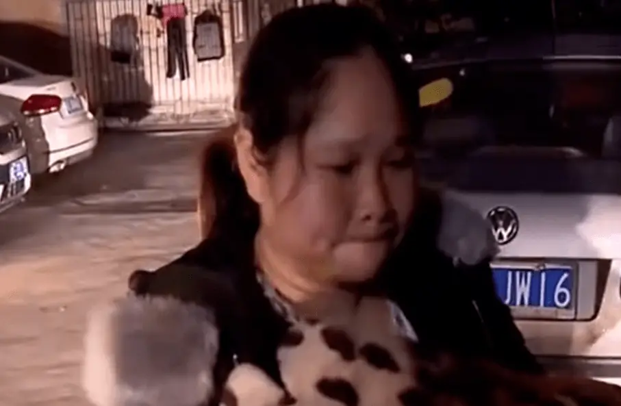 สะใภ้พาหลานชายกลับมาทวงแบ่งเงิน มหาเศรษฐีผู้เป็นปู่หยิบใบตรวจดีเอ็นเอออกมา ทำเอาทั้งบ้