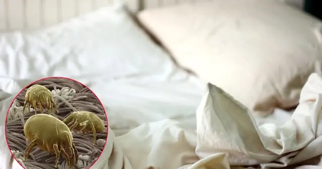 ทำไมไม่ควรพับผ้าห่มทันทีหลังตื่นนอน? หลายคนคิดว่าเป็นระเบียบ แต่กลับส่งผลเสียต่อสุขภาพ