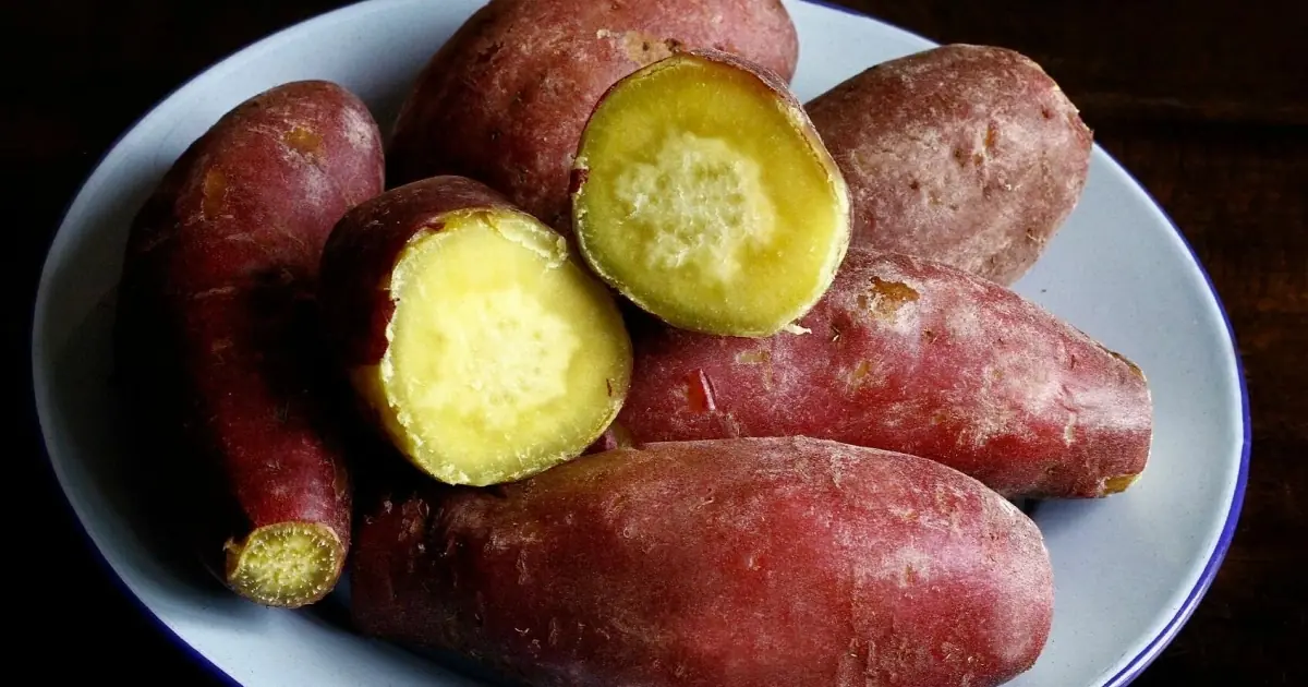 จะเกิดอะไรขึ้นกับคนที่ กินมันเทศเป็นอาหารเช้าเป็นประจำติดต่อกันเป็นเวลานาน?