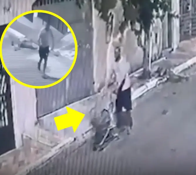 เพื่อนบ้านติดตามร่องรอยคดีจักรยานหาย ก่อนจะพบเหตุการณ์ชวนขนลุกโดยไม่คาดคิดในรถเข็นซูเ