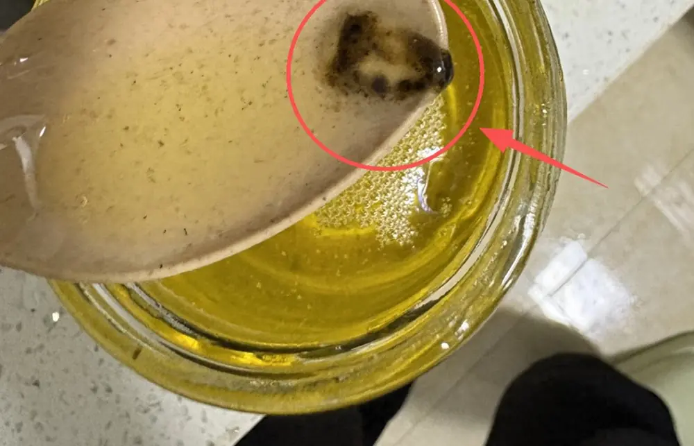 มีของในบ้าน 5 อย่างที่ “เสียก่อนวันหมดอายุ”! อ่านไว้จะได้ไม่เอาสุขภาพครอบครัวไปเสี่ยง