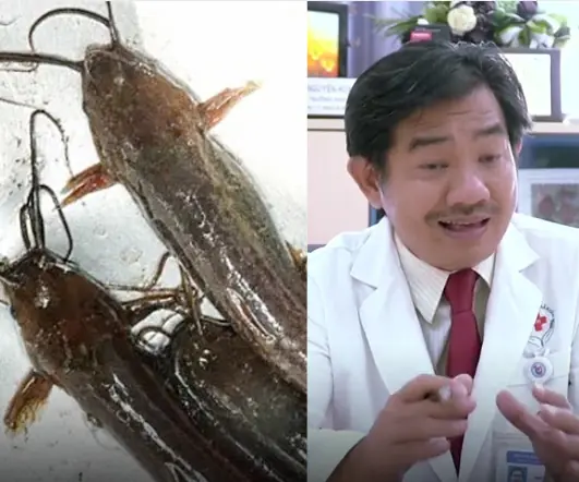 เมนูจากปลา ที่ถูกเตือนว่าอาจ “เปิดทาง” ให้มะเร็ง