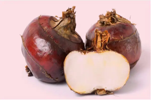 ผัก 4 ชนิด ราคาถูก อร่อย แต่เป็น “แหล่งสะสมพยาธิ” — หลายคนชอบกินสด โดยไม่รู้ว่ากำลังนำทั้งแ