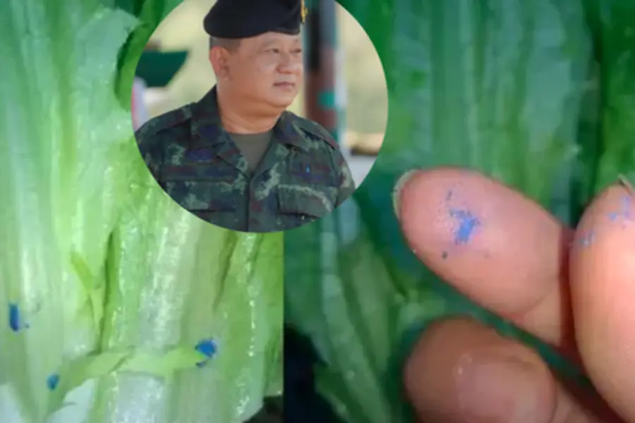 แพทย์ทหารเตือน 6 พฤติกรรม “ทำลายตับ” อย่างรวดเร็วรุนแรง ที่หลายคนทำเป็นประจำทุกวันโดยไม่ร