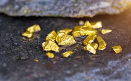 ค้นพบทองคำมากกว่า 20,000 กิโลกรัม มูลค่าสูงถึง 58,000 พันล้านดอง ถูกทิ้งไว้ในกองขยะ