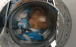 ใช้เครื่องซักผ้ามาจนถึงปีที่ 10 ฉันถึงเพิ่งตระหนักถึง 6 ความผิดพลาดร้ายแรง