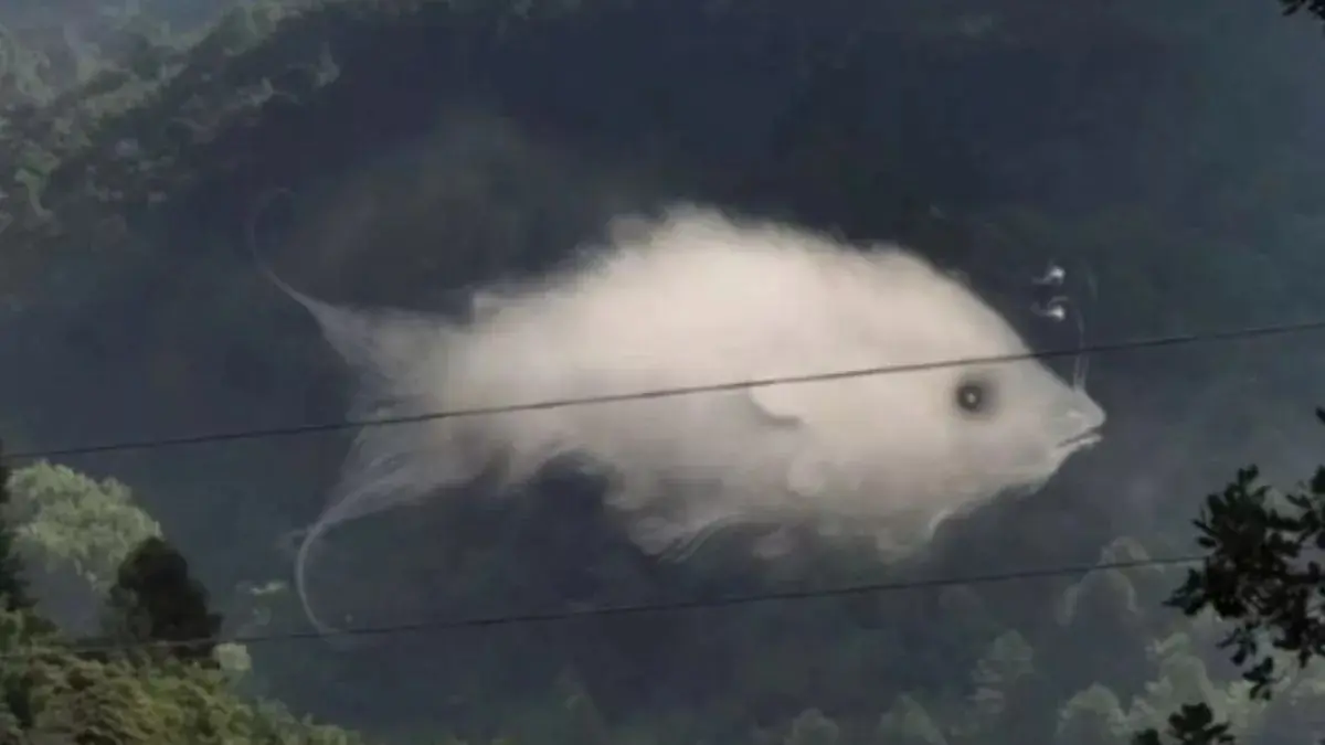 สิ่งที่คุณเห็นเป็นอย่างแรกในภาพลวงตาทางสายตานี้ เผยให้เห็นบางสิ่งที่สำคัญเกี่ยวกับบุค