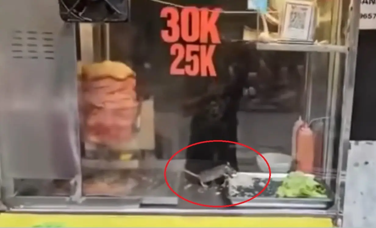 ช็.อ.ก: หนูแทะผักและเนื้ออย่างสบายใจอยู่ในตู้เก็บขนมปัง ทำให้หลายคนกัง.วลเกี่ยวกับปัญ.หาด