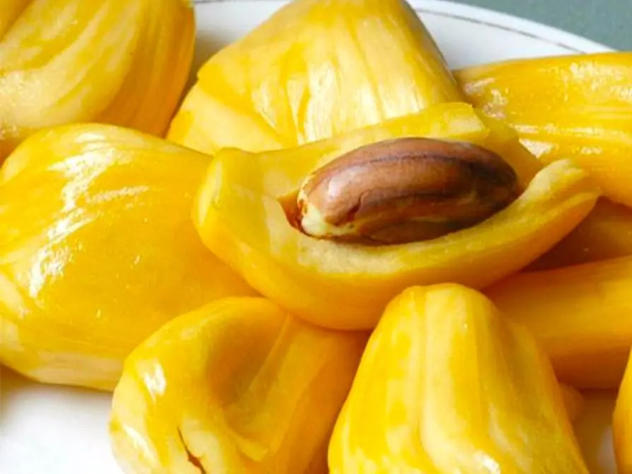 5 คนกลุ่มนี้ ต่อให้อยากแค่ไหน ก็ไม่ควรกิน “ขนุน” เด็ดขาด