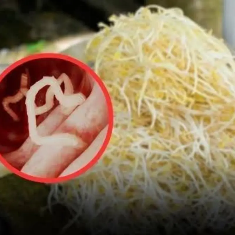 ใครกินอยู่ต้องรู้! กูรูฟันธง อาหารชนิดนี้แบค.ที.เรียสูงมาก แต่ยังขายดีในไทย