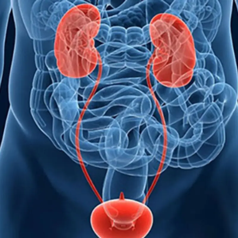 อย่ามองข้าม! 5 อาการเตือน มะ.เร็งกระ.เพาะปัสสาวะ ที่หลายคนไม่รู้