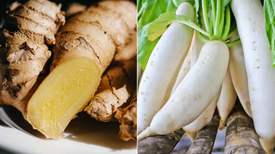 ทำไมถึงควร “กินขิงตอนเช้า” และ “กินหัวไชเท้าตอนเย็น”?