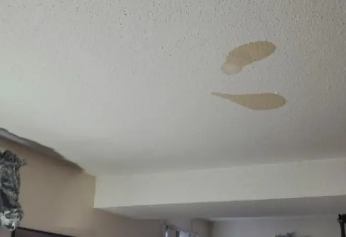 เมื่อเห็นคราบเปื้อนบนเพดาน หญิงคนนั้นจึงไปขอคำแนะนำทางออนไลน์ และรู้สึกตกใจกับคำตอบที่