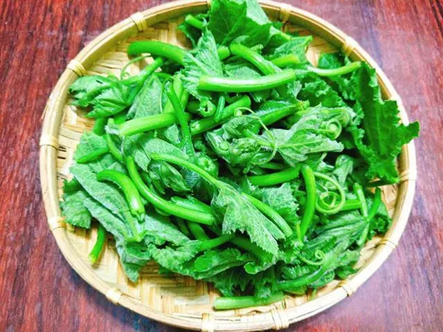 ผักบางชนิดที่อยู่ในรายชื่อก่อม.ะเร็.ง “ระดับ A” ซึ่งคนไทยกินกันบ่อย ควรเลิกกินทันที