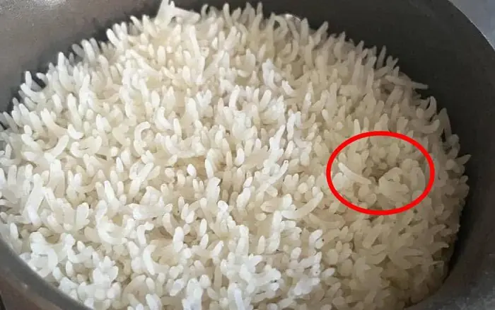 รูปเดียวขน.ลุก "เม็ดข้าว" หุงออกมาประ.หลาด เพิ่งเคยเห็นครั้งแรก เตื.อนค.นก.ลัวรูอย่าดู!
