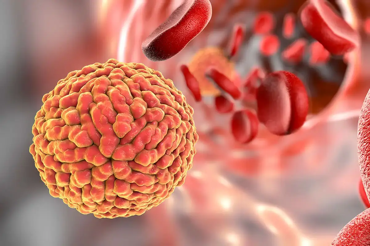 ผู้คนกลัวมะเร็ง แต่มะเร็งกลัวสามสิ่งนี้