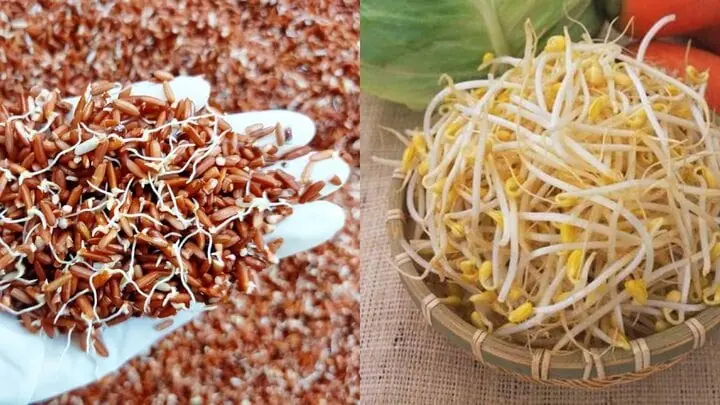 อาหาร 3 ชนิดที่งอกแล้วคุณค่าทางโภชนาการเพิ่มขึ้นหลายเท่า ดีเกินกว่ายาบำรุงใด ๆ