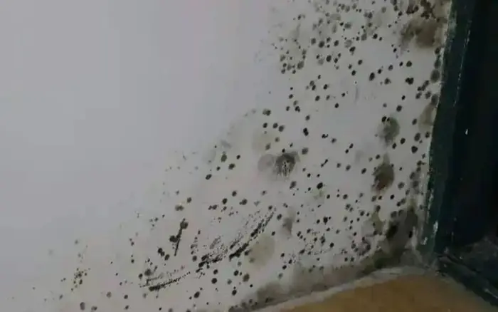 กลิ่นเหม็นคาวรุนแรง 6 แบบในบ้านที่อาจเป็นสัญญาณเตือนอันตราย