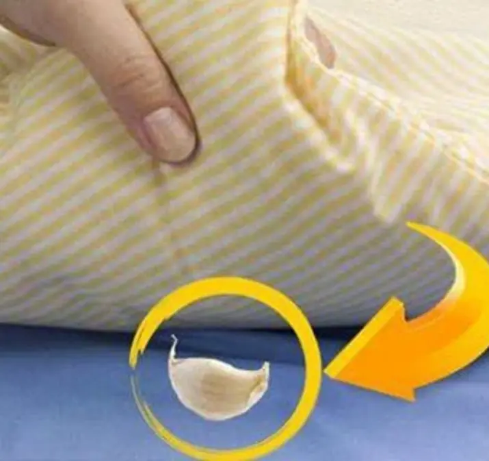 วางกระเทียมไว้ใต้หมอนก่อนนอน เคล็ดลับง่าย ๆ ที่หลายคนลองแล้วต้องทึ่งกับผลลัพธ์