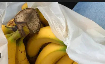 ผลไม้ 5 ชนิด ห้ามกินตอนท้องว่าง ทำร้ายกระเพาะไม่แพ้เหล้า