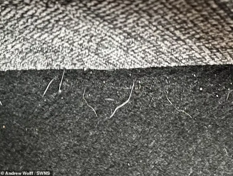 ซื้อไม่ใช่ถูกๆ โซฟาราคา 14,000 นั่งแล้วมี "รอยกัด" ยับเยินทั้งตัว ส่องดูข้างในถึงกับสยอง!