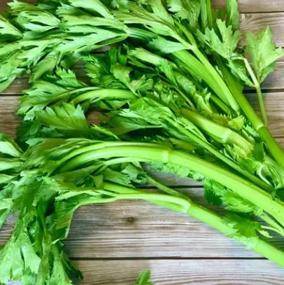 สุดยอดผักใบเขียว สารอาหารจากธรรมชาติที่คุณไม่ควรละเลย