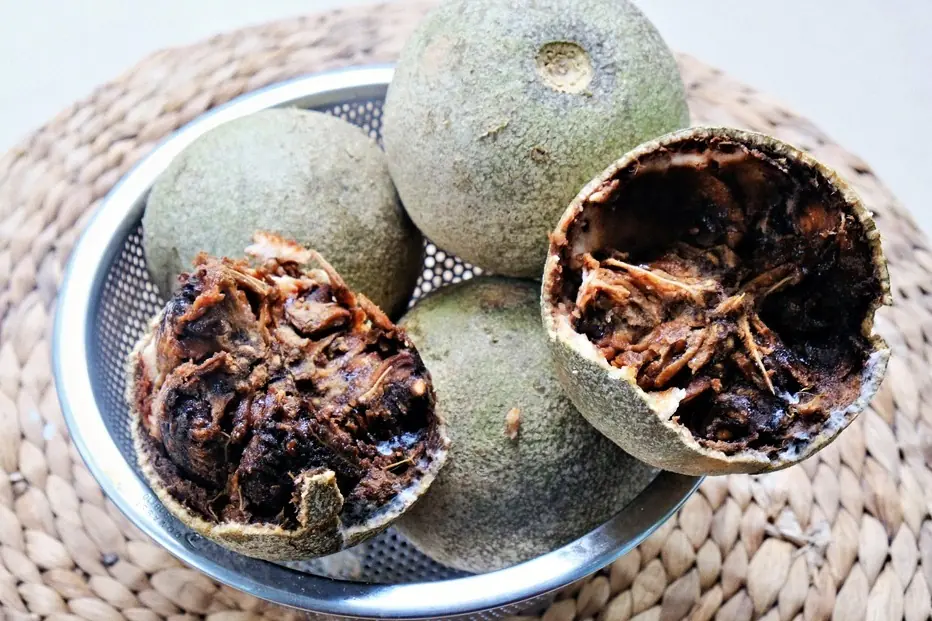 ทั่วโลกให้คุณค่าผลไม้ชนิดนี้มากกว่าถั่งเช่า ทั้งที่ประเทศไทยมีอยู่มากมาย แต่กลับไม่ค่อ