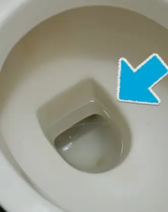 หยดน้ำมันสมุนไพรลงในชักโครก เคล็ดลับดีๆ ที่ช่วยประหยัดเงิน