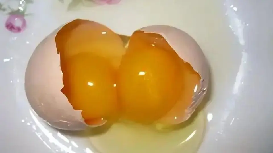 ไข่แดงสองฟอง หรือไข่แดงฟองเดียว: แบบไหนมีประ.โยชน์มากกว่ากัน?