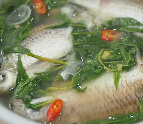 3 ปลาน้ำจืดล้ำค่า บำรุงสุขภาพดีกว่าที่คิด ช่วยคลายความร้อนและเสริมพลังกาย