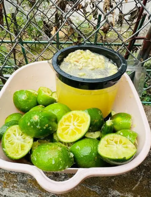 ดื่ม “ชามะนาว” ทุกเช้า 1 ปีเต็ม สาววัย 35 ถึงกับช็อก ผลตรวจชี้เสี่ยงหลายโรค