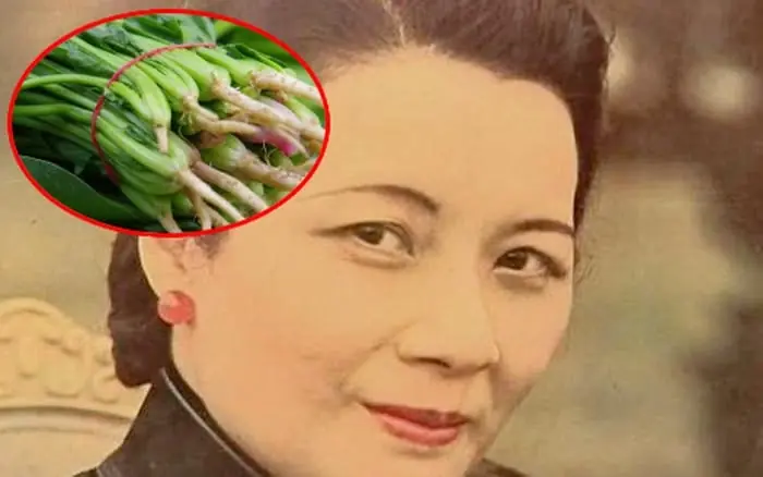 เป็นมะ.เร็.งตั้งแต่อายุ 40 แต่ซ่งเหม่ยหลิงมีอายุยืนถึง 106 ปี: เคล็ดลับคือผักต้านมะ.เร็.ง 1 ชนิด 