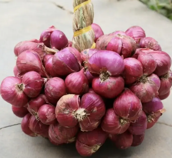 เคล็ดลับชายวัย 67 สู้มะเร็งต่อมน้ำเหลืองสำเร็จ แพทย์แนะ 3 อาหารลดเสี่ยงซ้ำ