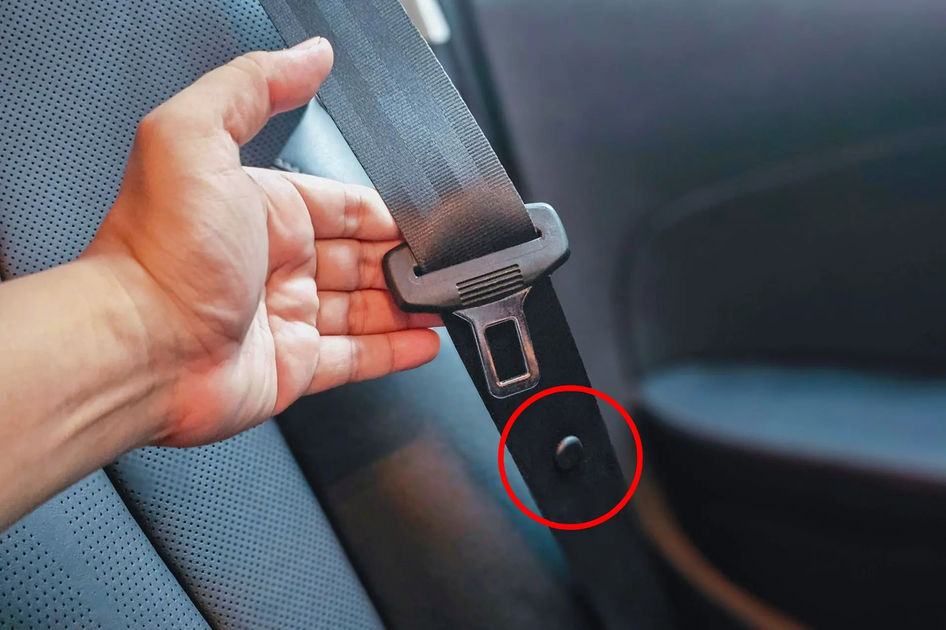 เฉลยแล้ว! ปุ่มเล็กๆ กลมๆ บนสายเข็มขัดนิรภัย มีไว้ทำไม? หลายคนใช้รถมานานเพิ่งรู้