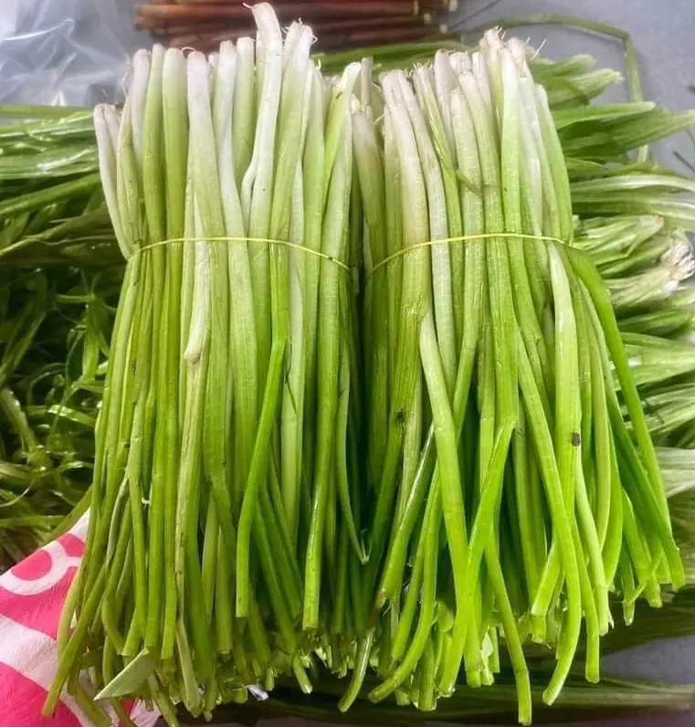 อุทาหรณ์ชายวัย 25 ปี ป่วยหนักจากผักที่ดูเหมือนจะปลอดภัย