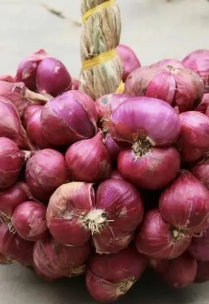 ชายวัย 60 ชนะม.ะ.เ.ร็.งต่อมน้ำเหลือง แพทย์เผย 3 อาหารที่ผู้ป่วยควรกิน ช่วยลดเสี่ยงกลับมาเป็นซ