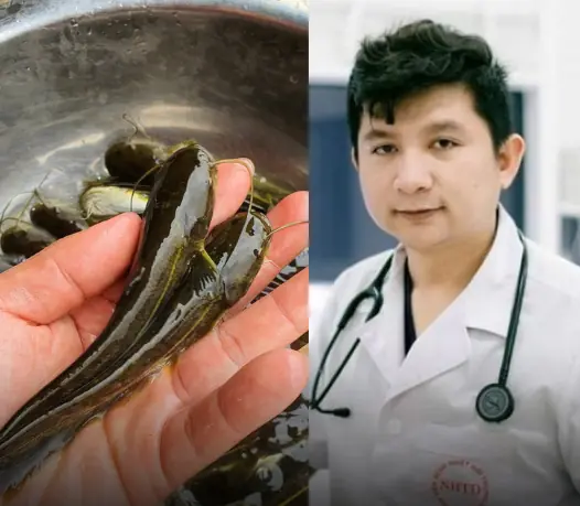 เจอปลา 3 ชนิดนี้ในตลาด ห้ามซื้อกินเด็ดขาด! ต่อให้ราคาถูกก็อย่าเสี่ยง เพราะอันตรายกว่าที่ค