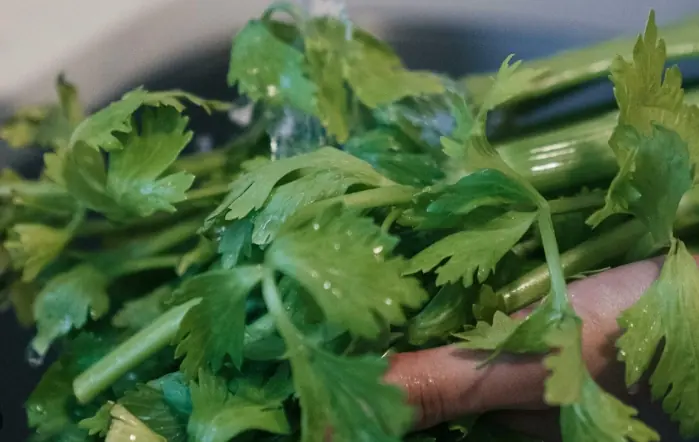 ผักที่มีพยาธิเยอะที่สุดอันดับ 1 คนไทยนิยมกินสด มีประโยชน์แต่เสี่ยงปรสิต