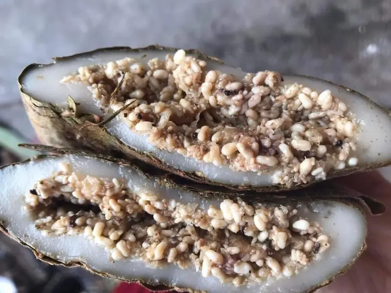 ไข่มดแดงกับอาการแพ้ เรื่องจริงที่สายกินต้องระวังก่อนจะตักเข้าปาก