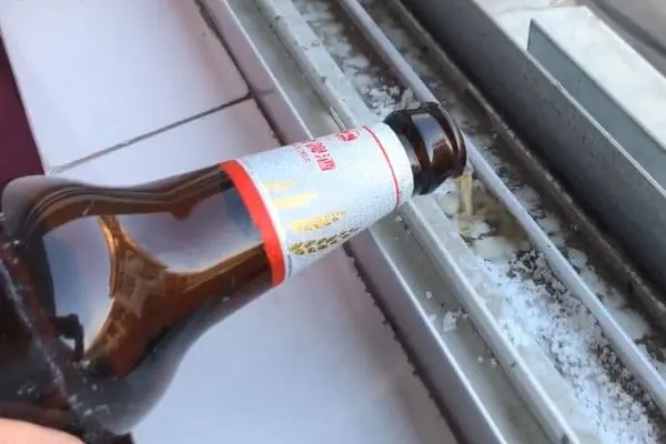 เทเบียร์ลงบนขอบหน้าต่าง แล้วคุณจะรู้ถึงประโยชน์สุดว้าวที่ 9 ใน 10 คนยังไม่เคยรู้!